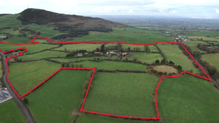 Residential farm extending to 46 acres in County Limerick sells at auction