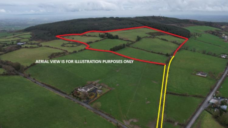 Disappointed underbidders at auction of 31 acre grassland farm in Limerick