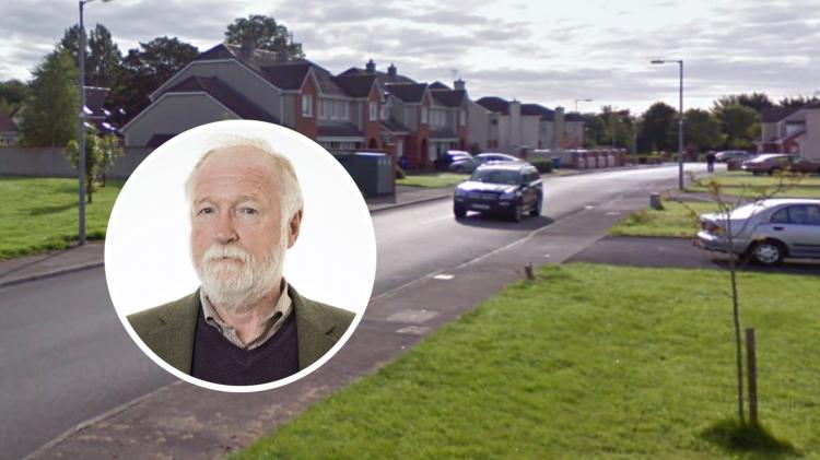 'Be careful what you wish for' warning over Limerick traffic review calls