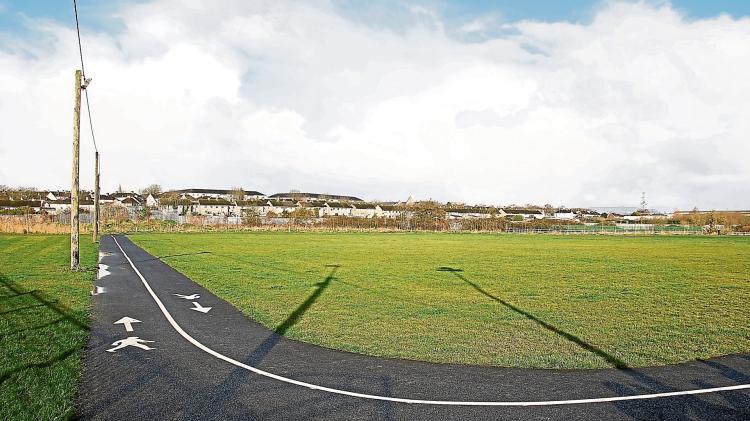 Bid to use emergency legislation to stop mayor's plans to build houses in Limerick park