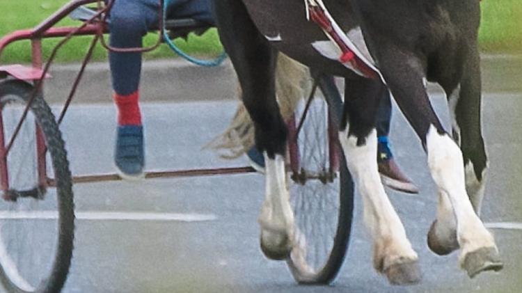 Horsing around: Motorist fined for 'spectating' at sulky race on busy Limerick road