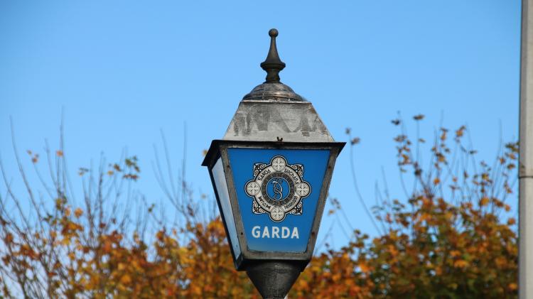 Young man 'running wild' fell asleep during questioning at Limerick Garda Station