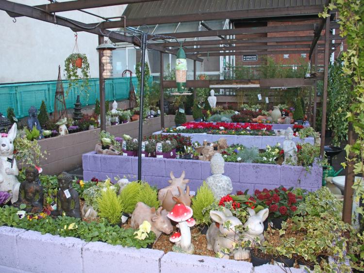 Charity shop grows its Limerick offering with garden store Limerick