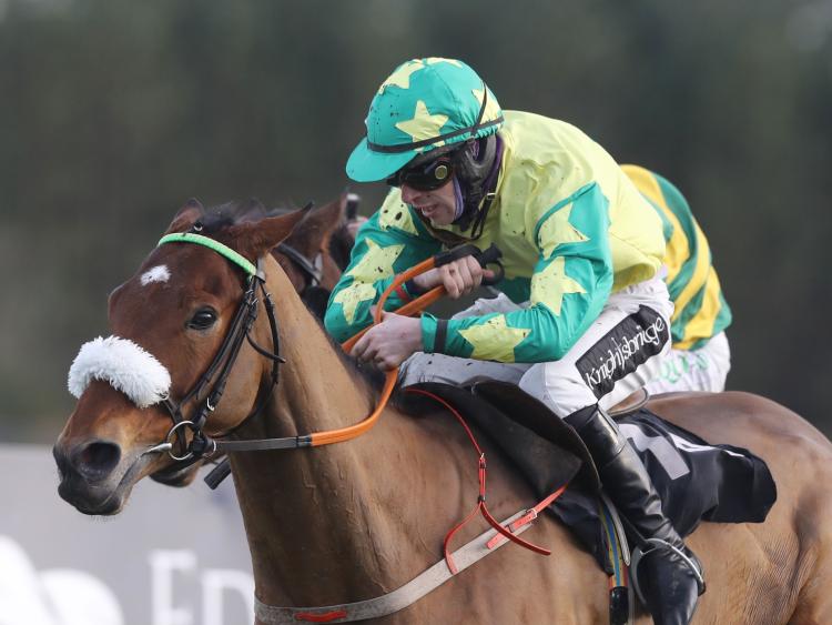 Limerick trainer Eoin McCarthy enjoys memorable Christmas period