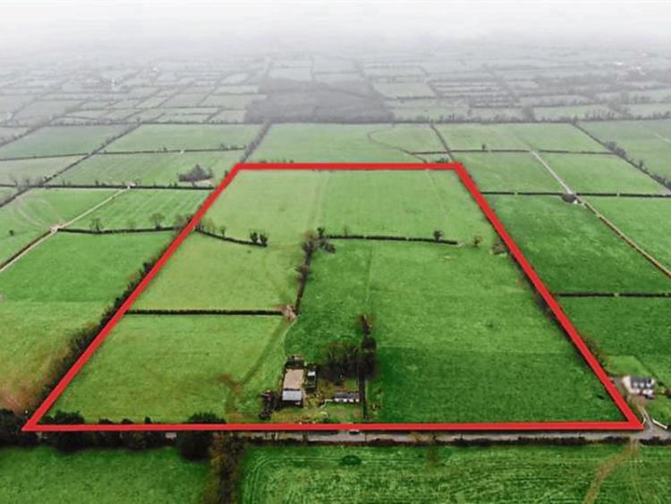 Limerick dairy farmer buys land for €10k an acre Limerick Leader