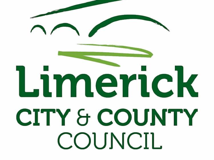 Limerick Council identifies seven housing sites for scheme Limerick