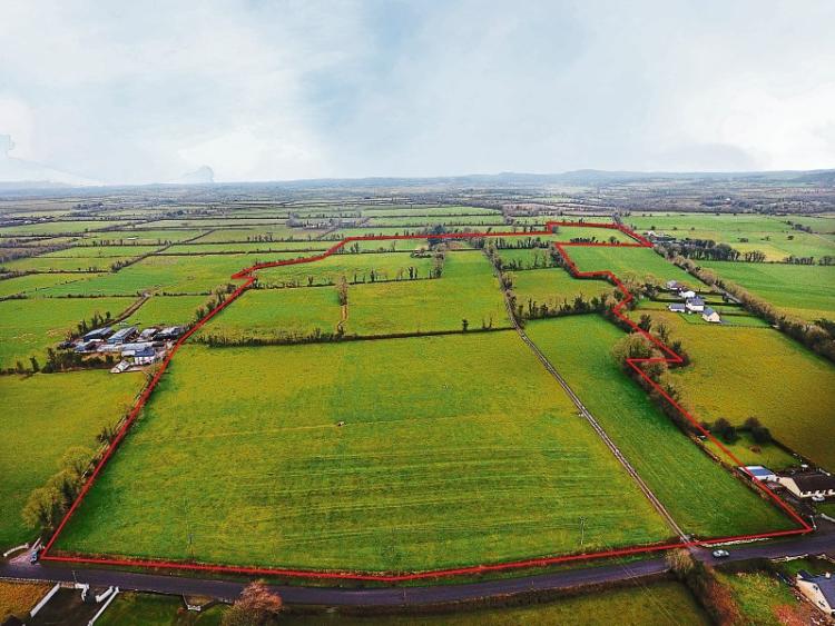 New to the market Limerick farm that is ‘the real deal’ is guided at €