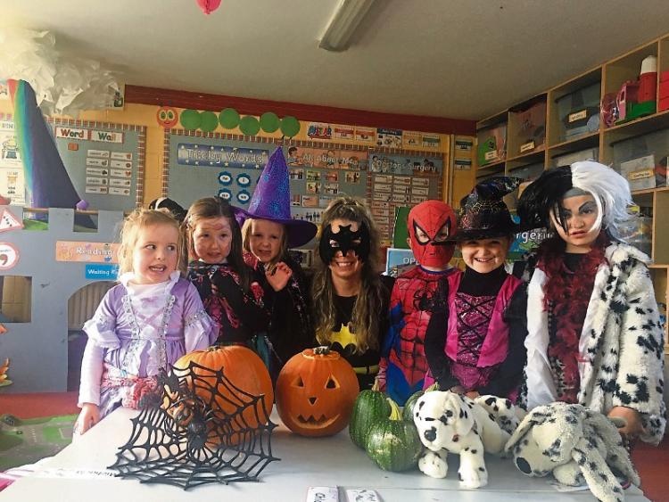 Pumpkins planted by ‘Greene’ fingered Limerick teacher ...