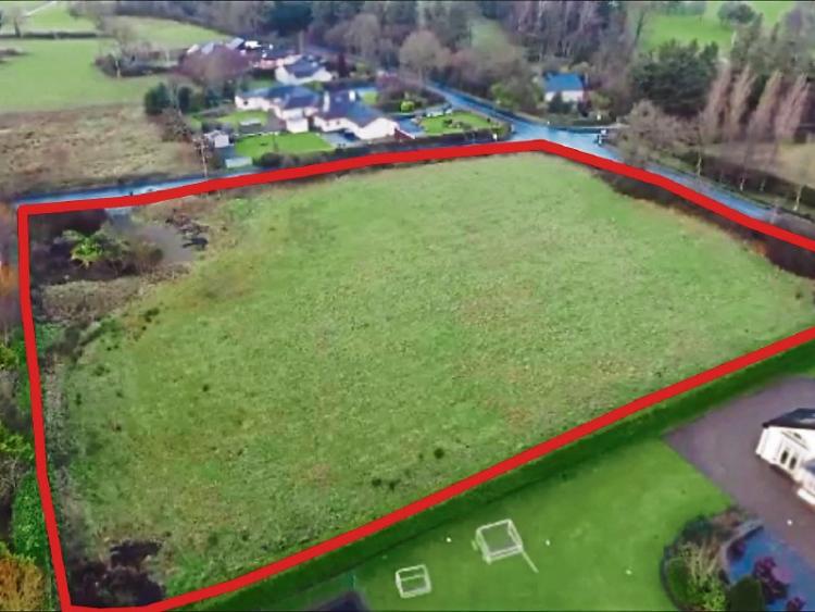 WATCH Limerick field that cost over €1m in boom sells for €156k