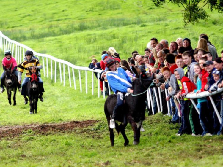 Excitement builds ahead of famous donkey derby Limerick Leader