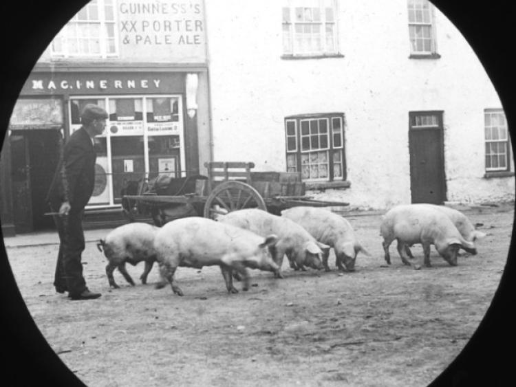 ‘Pigtown’ to be focus of new archival research project Limerick Leader
