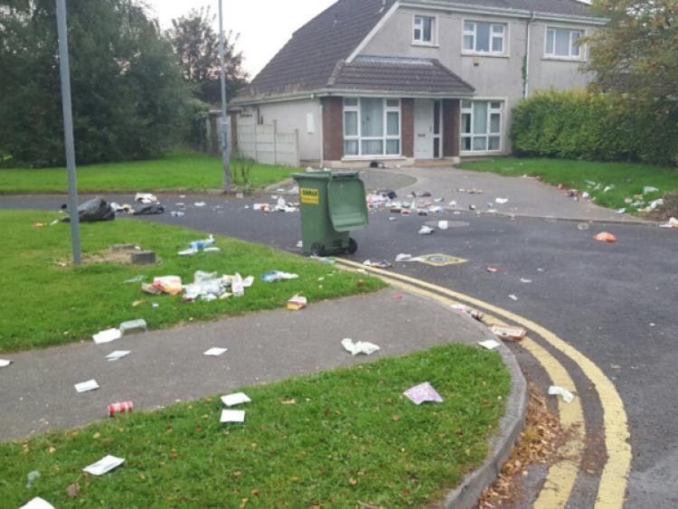 ‘Wanton vandalism’ upsets Limerick housing estate residents Limerick