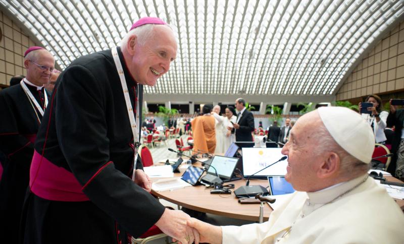 Bishop of Limerick to publish diocesan overview