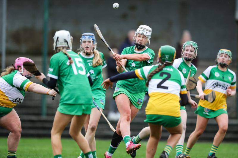 Limerick minor camogie side face Clare in final group tie