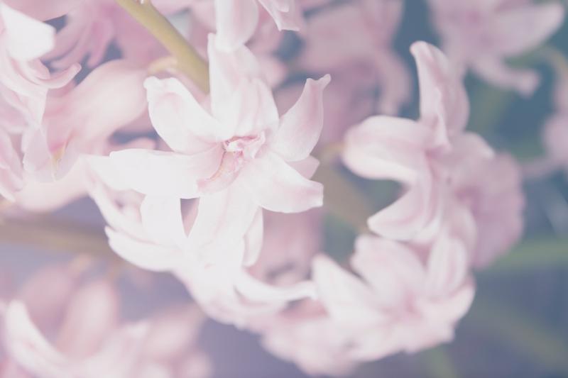 Support services for the bereaved