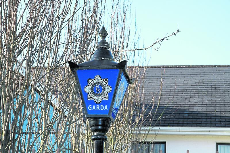 Two arrests made following a public order incident in one Limerick town