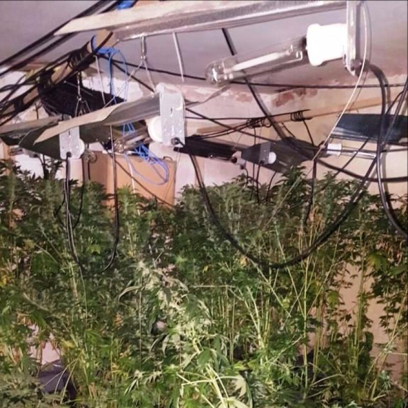 UPDATE: Cannabis 'grow house' discovered in Limerick village