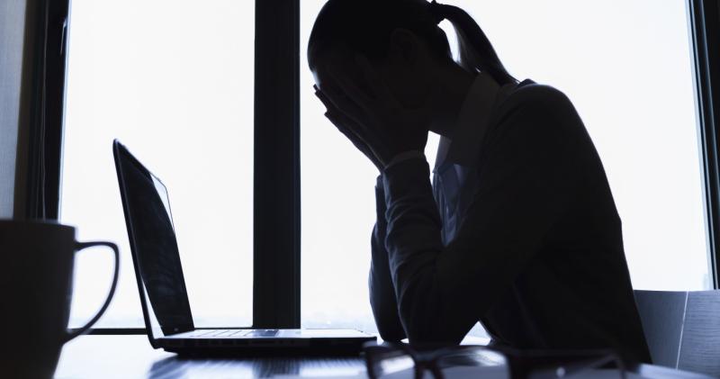 Gender-based violence services