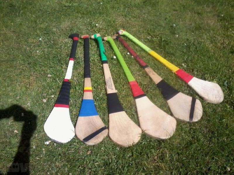 Limerick hurling championship wins for Ballybrown and Bruff