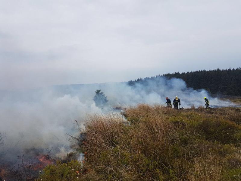 Firefighters tackling gorse fire in County Limerick