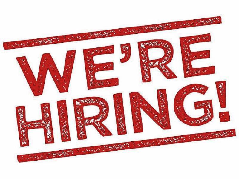 WE'RE HIRING: Iconic Newspapers hiring advertising sales executives in Limerick