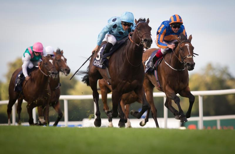 THE PUNTER'S EYE: Five horses to follow at the Curragh this weekend