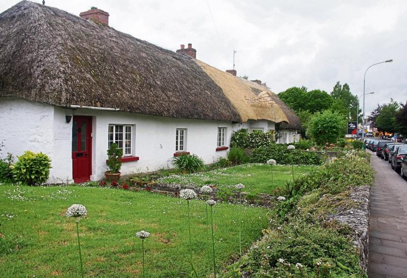 New thatch nears completion on burnt Adare cottage