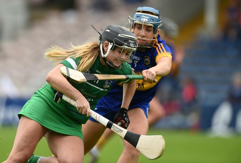 Limerick claim first camogie points with win over Tipperary