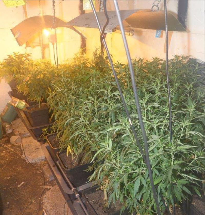 Gardaí in Listowel seize drugs worth €350K