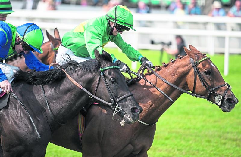Horse Racing Ireland issue Equine Influenza update