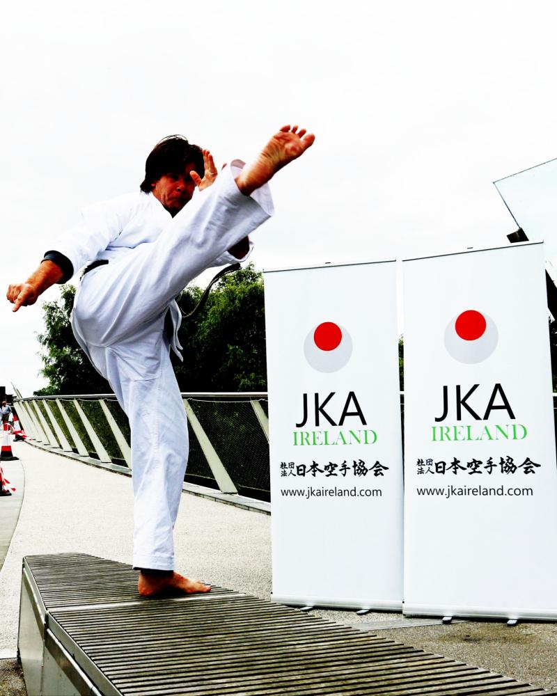 Limerick welcomes Karate World tournament