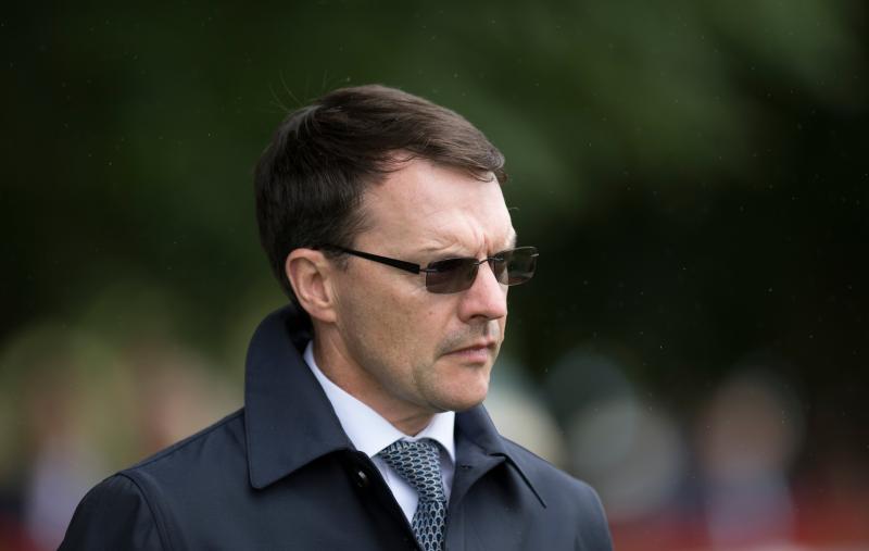 Betting: Anthony van Dyck can rein at Breeders' Cup