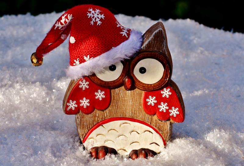 Stop here for Christmas in Limerick