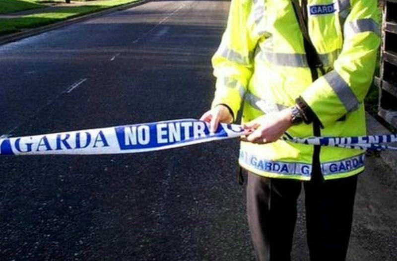 Gardaí arrest man in his 20s in relation to fatal hit and run collision