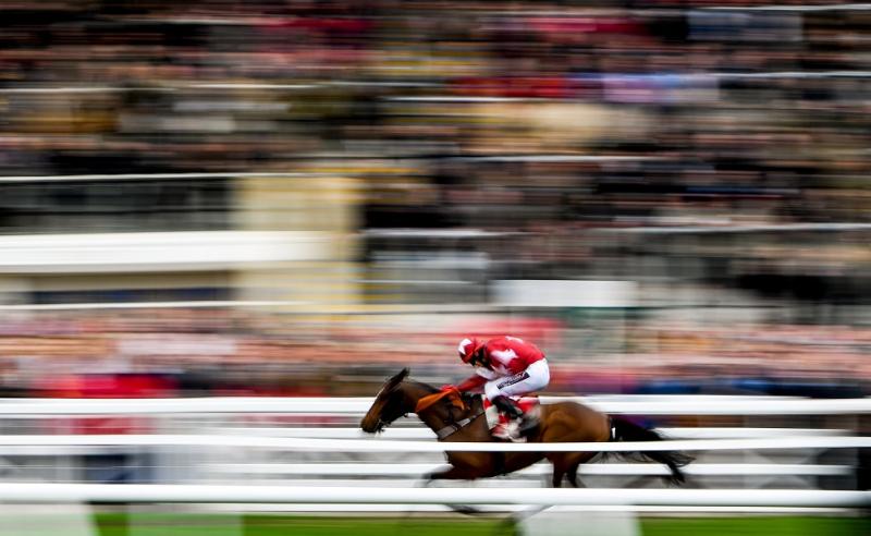 Cheltenham Festival Tips