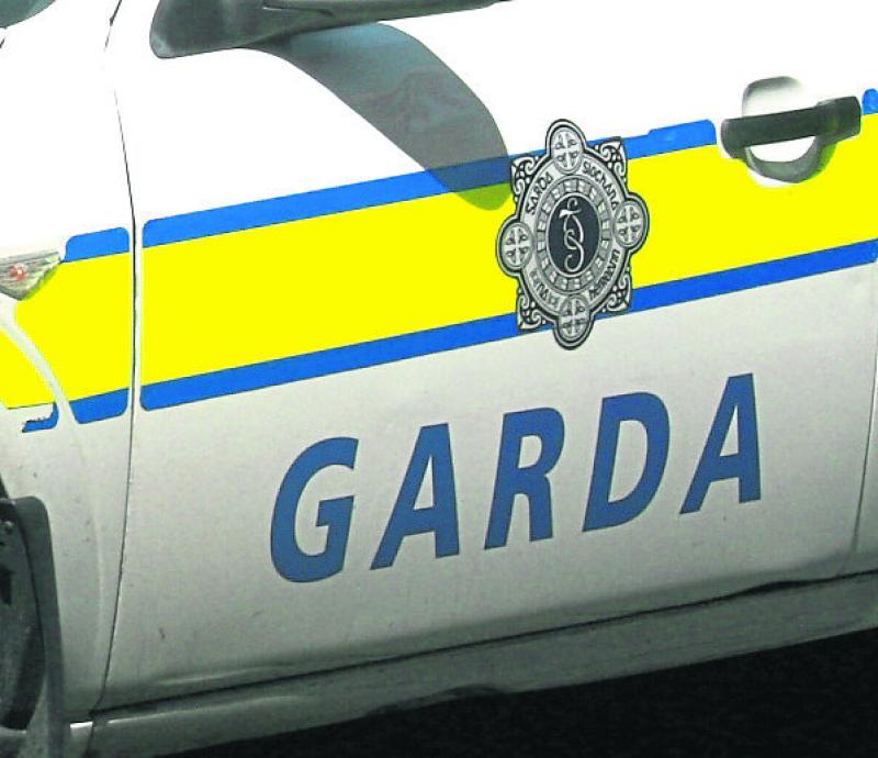 Four homes broken into in County Limerick village overnight