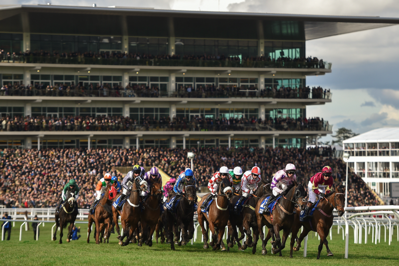 Cheltenham Festival Tips: Friday's Top Picks