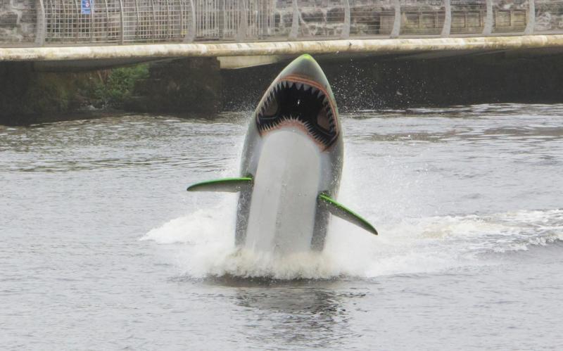 The Sea Breacher in action on the River Shannon this Friday Picture: Liam Burke/Press 22