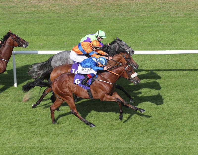Limerick's Cathal Landers lands win for Patrick Neville on Queen Khaleesi