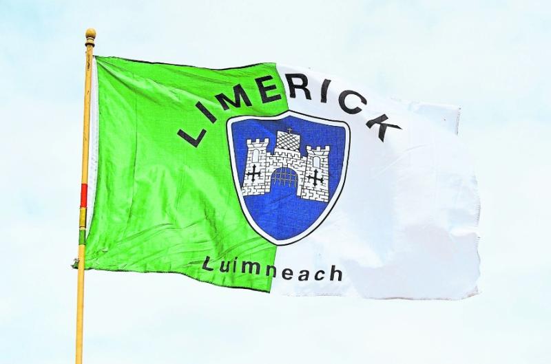 Limerick GAA postpone club championships until after All Ireland hurling final