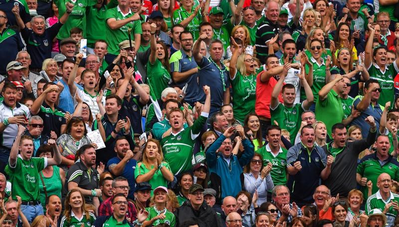 Limerick council urged to erect big screen for All Ireland hurling final