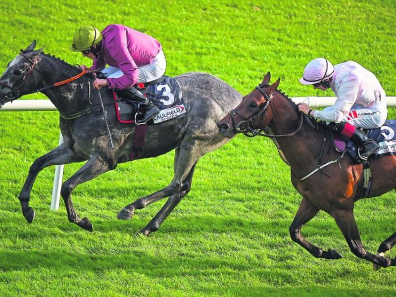 THE PUNTER'S EYE: Galway Races Tips - Day 2