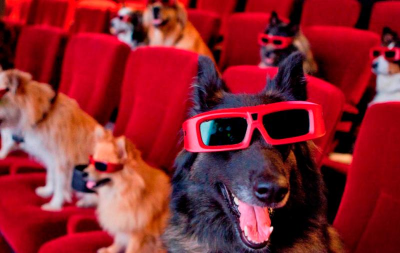 Kilkenny movie nights