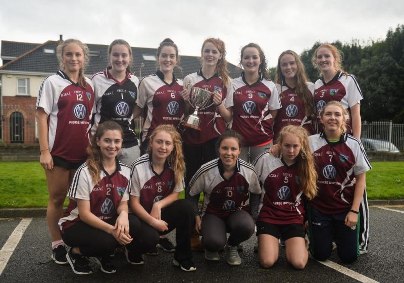 Three Limerick clubs in Ladies Football 7-a-side tournament