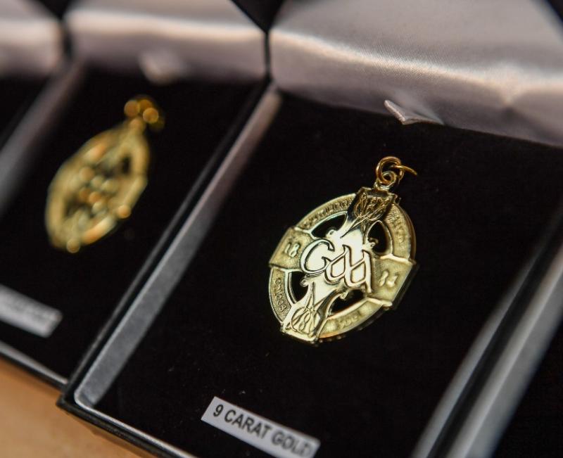 Limerick All Ireland hurling medals: Who gets what, when and where