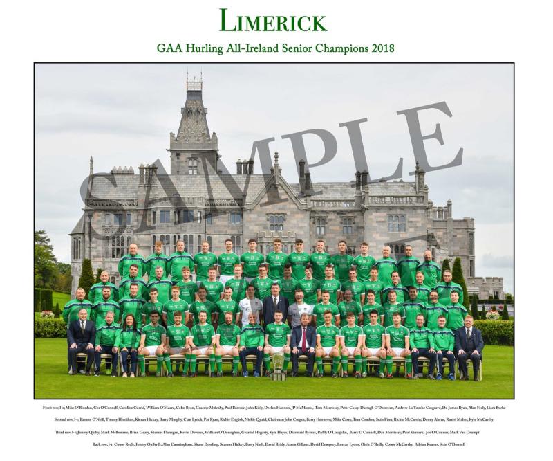 Limerick GAA reveal official All Ireland hurling team photograph