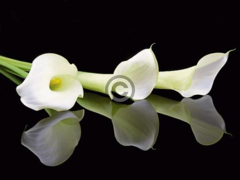 Deaths in Tipperary - Saturday, November 24, 2018