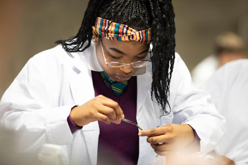More than 700 science students to visit University of Limerick this week