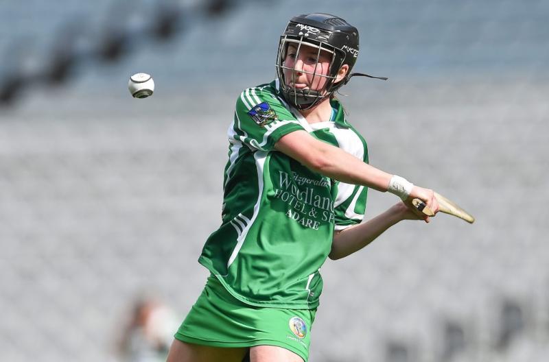 Captain Costelloe points Limerick to opening round camogie league win over Offaly