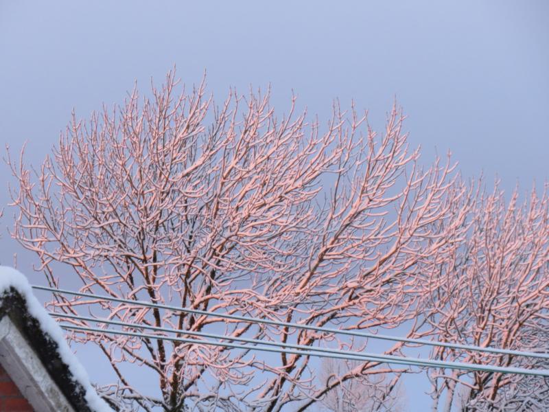REVEALED: Counties most likely to have snowfall on Christmas Day